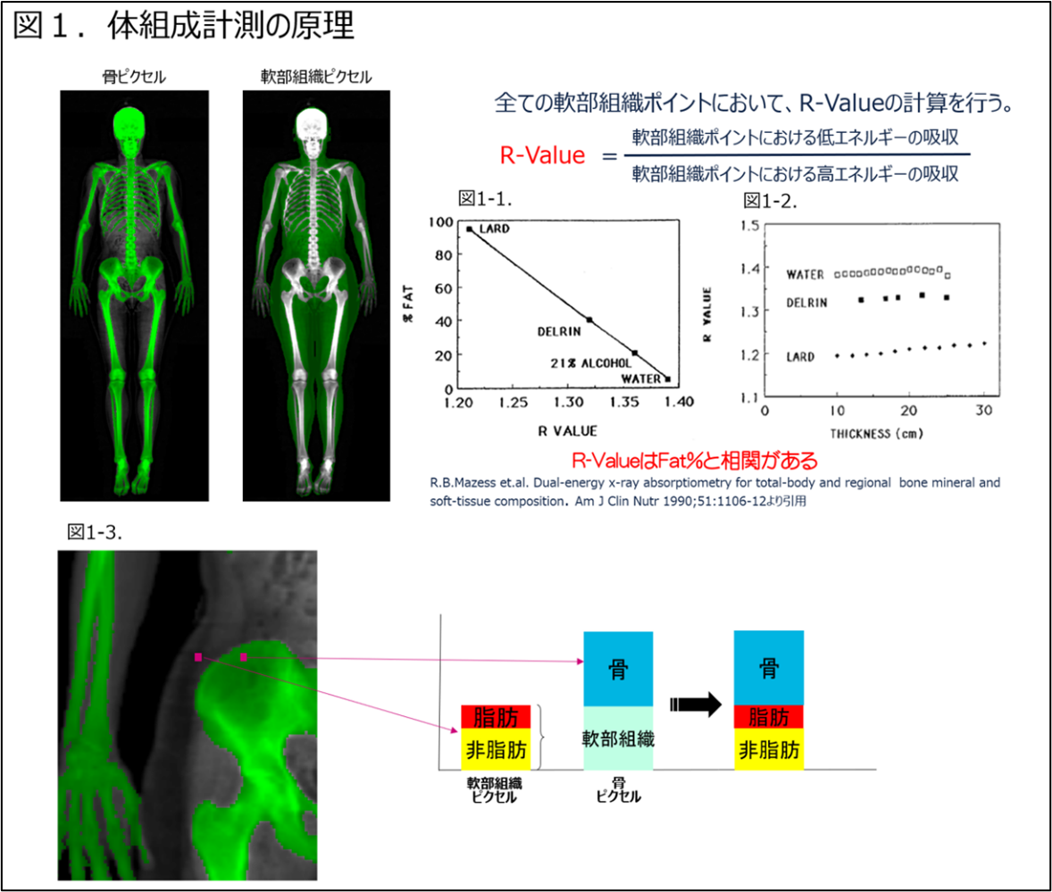 Technical Tips_Body Composition Assessment01.png